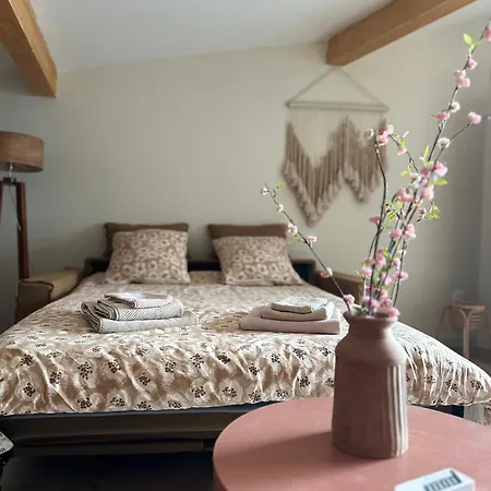 Cosy * Castanet-Tolosan