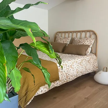 Cosy Lejlighed *