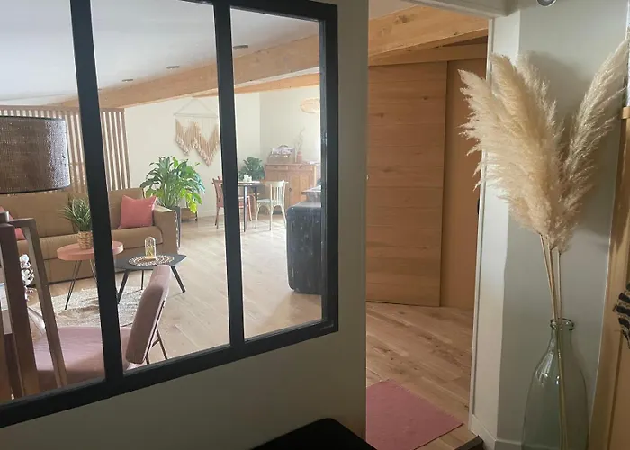 Cosy Appartement Castanet-Tolosan